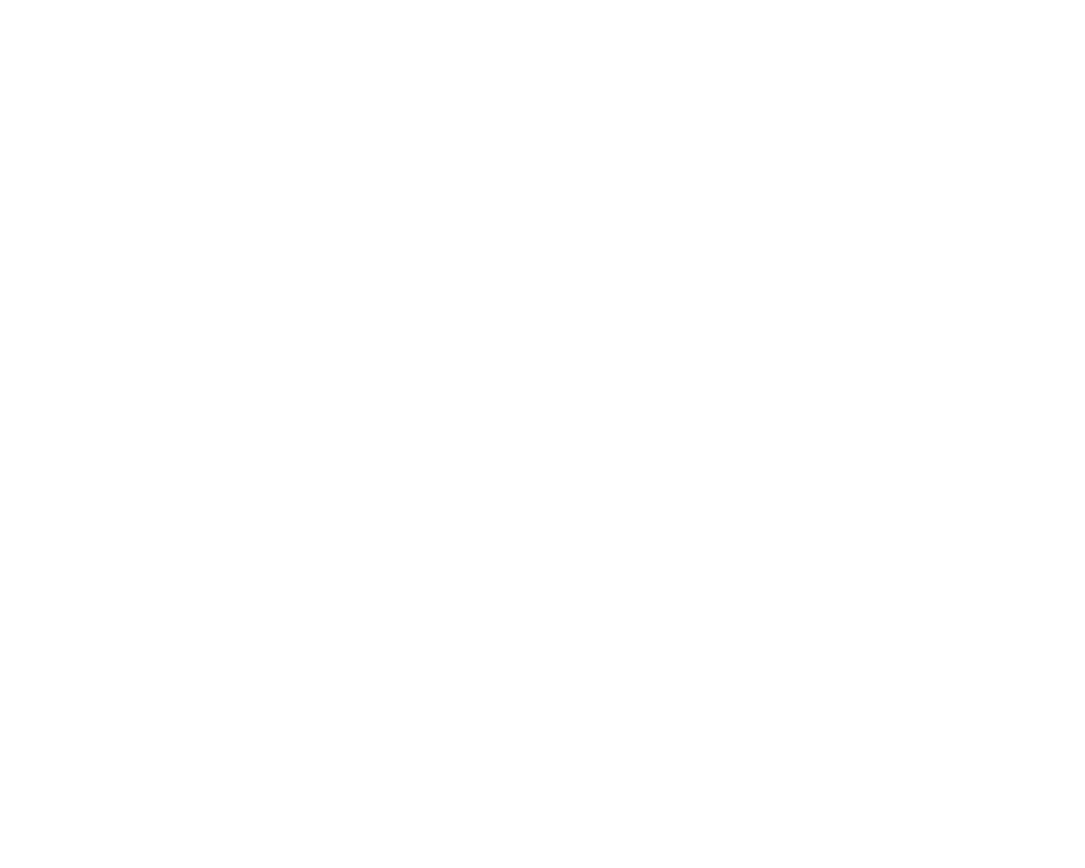 PRG Real Estate white logo